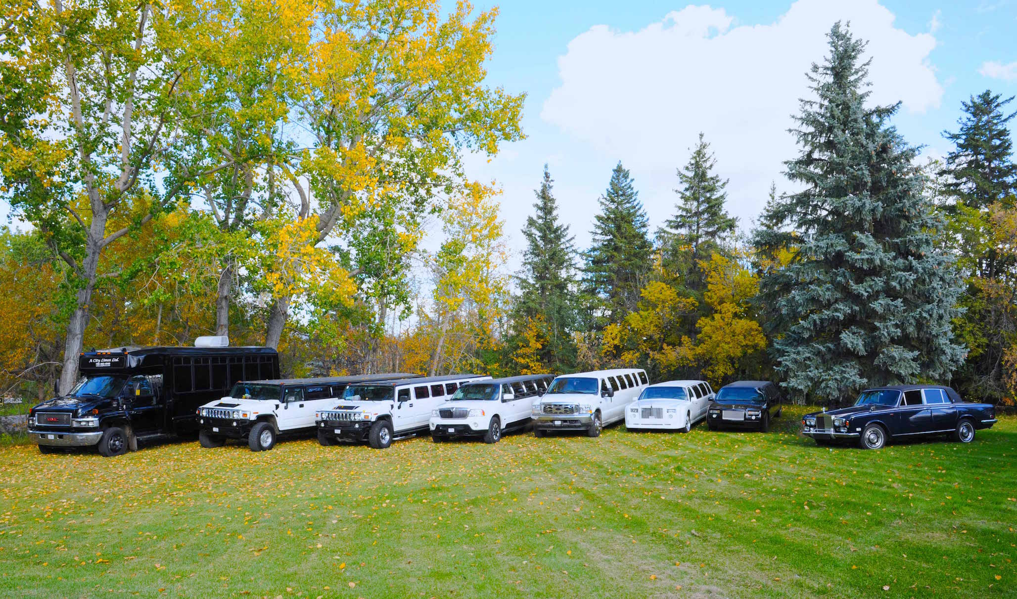 Biggest Limo Fleet in Edmonton for Rent - Best Service and Prices Available